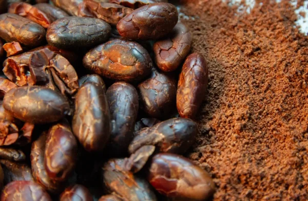 Cacao Puro en Polvo - Image 2