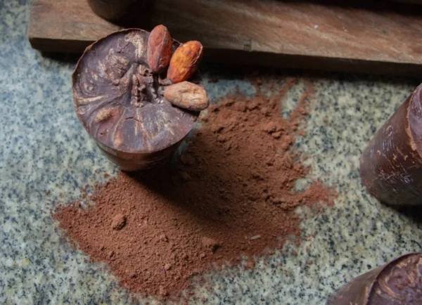 Cacao Puro en Polvo