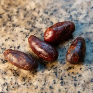 Nibs de Cacao