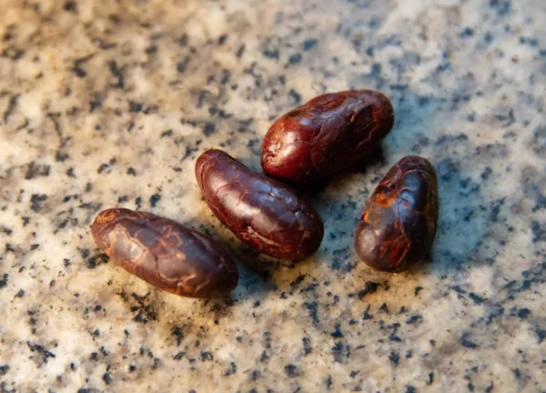 Nibs de Cacao