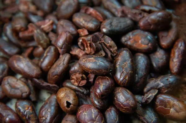 Nibs de Cacao - Image 3