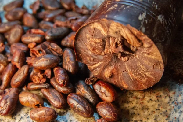 Cacao Puro con Azúcar - Image 2