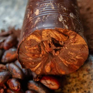 Cacao Puro con Azúcar