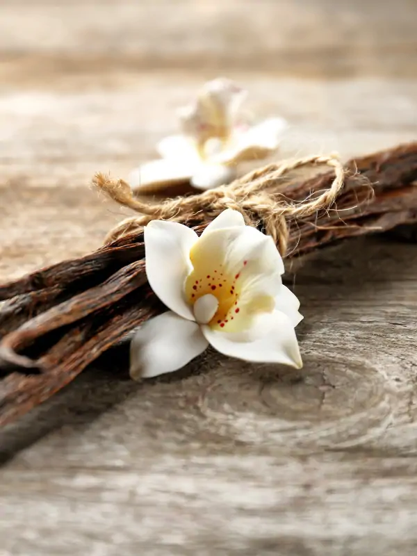 derivados de la vainilla