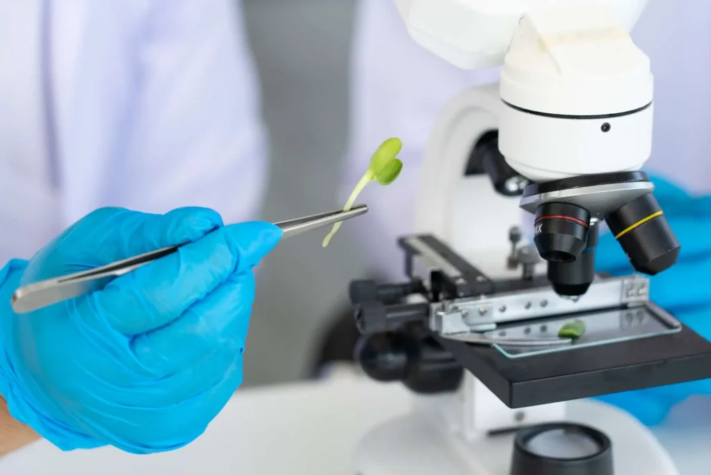 biotecnologia agricola1