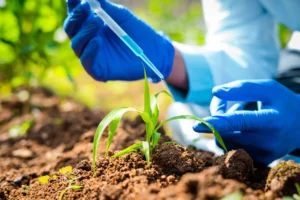 biotecnologia agricola2